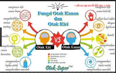 Fungsi Otak Kanan dan Otak Kiri dalam Perkembangan Anak